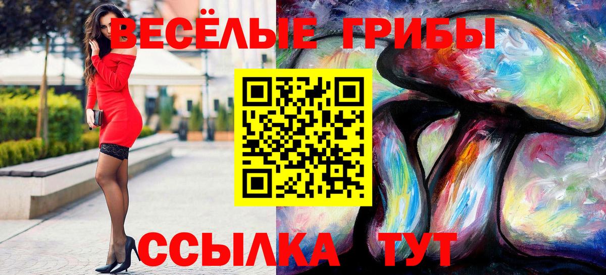 Псилоцибиновые грибы мицелий Мирный