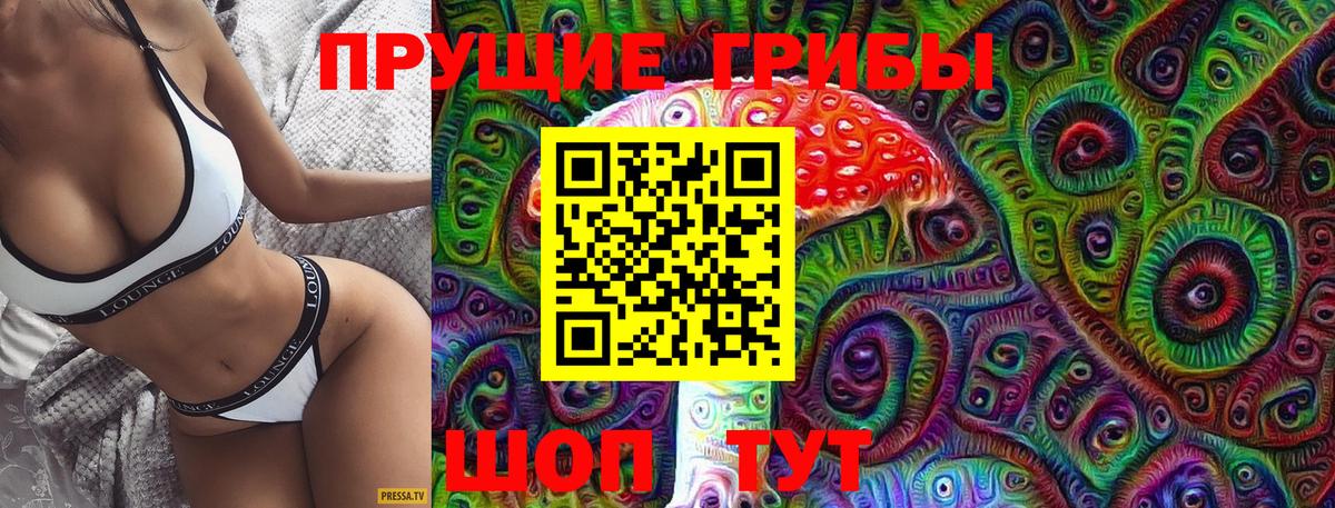 Мирный  Галлюциногенные грибы MAGIC MUSHROOMS  Вход с VPN  Псилоцибиновые грибы мицелий 